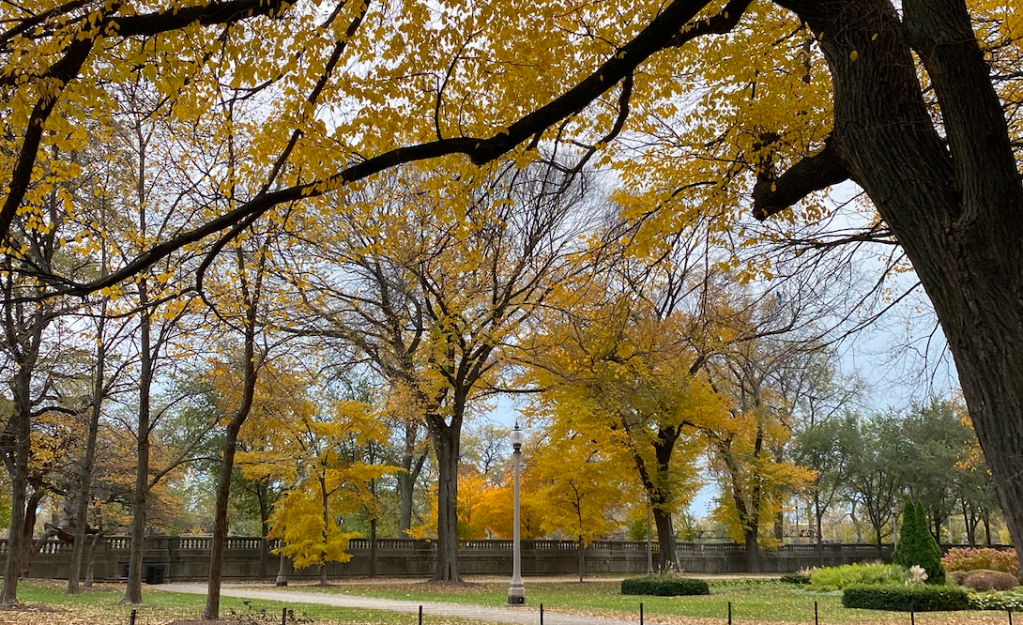 Thanksgiving Break: the final social&nbsp;deadline